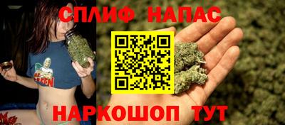 хмурый Дубна