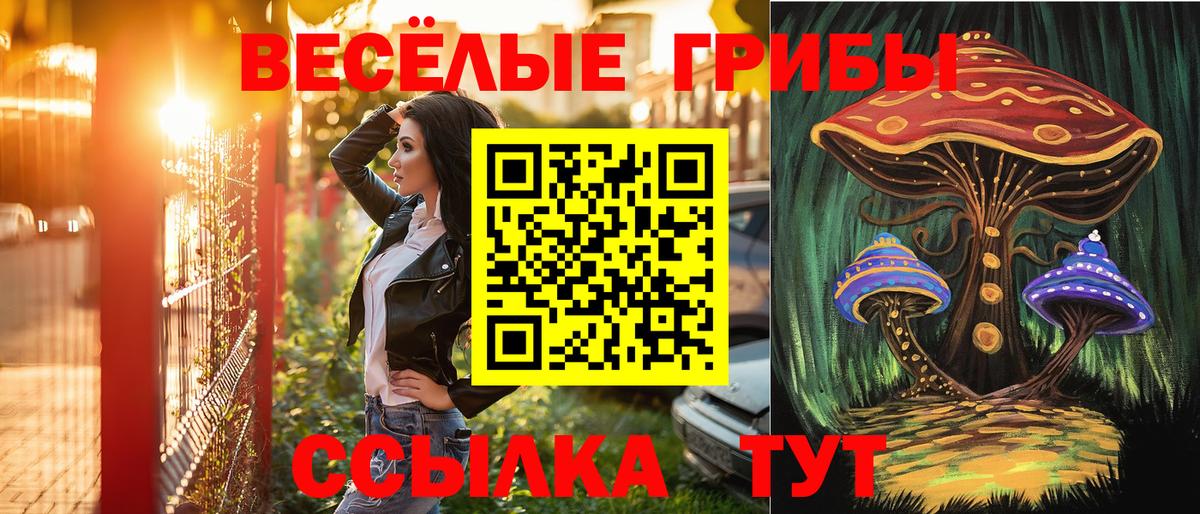 Псилоцибиновые грибы Psilocybe  Лесосибирск  Галлюциногенные грибы Psilocybine cubensis 