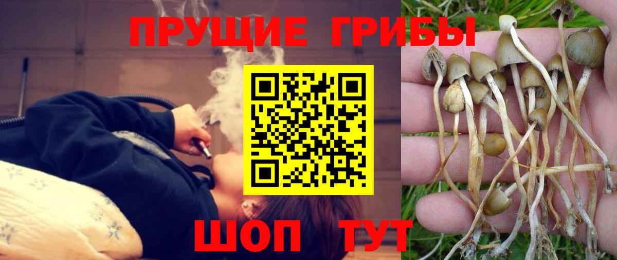 Галлюциногенные грибы MAGIC MUSHROOMS  Вход с VPN  где купить   Лесосибирск 